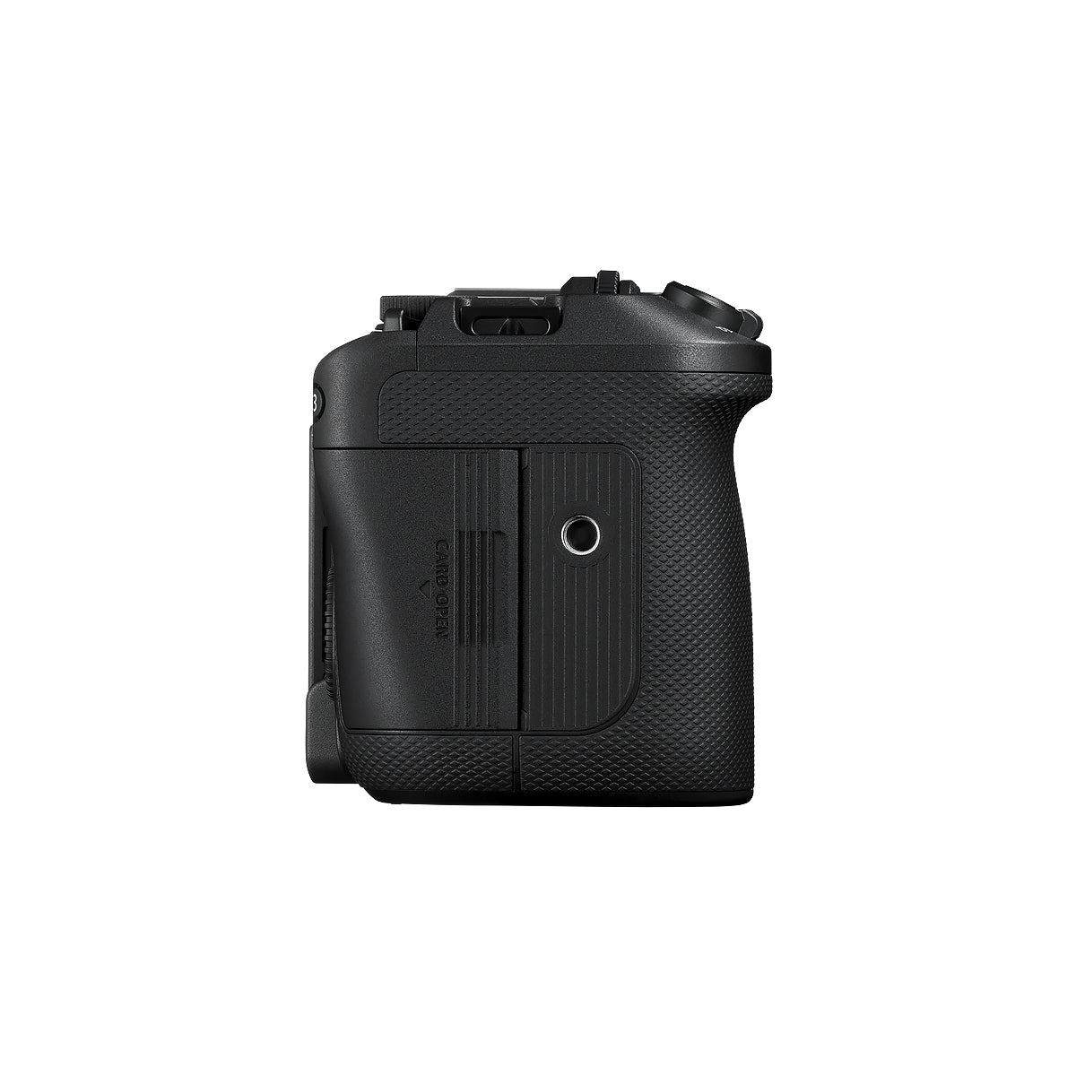 EOS R6 V