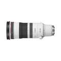 RF100-300mm F2.8 L IS USM