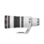 RF100-300mm F2.8 L IS USM