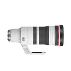 RF100-300mm F2.8 L IS USM