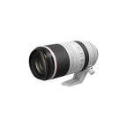 RF100-500mm F4.5-7.1 L IS USM