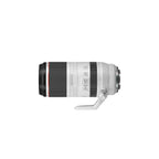 RF100-500mm F4.5-7.1 L IS USM